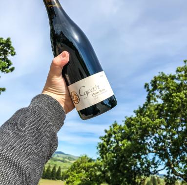 A hand holding up a bottle of Copain 2017 Hawks Butte Syrah.